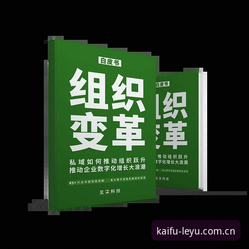 资深用户深度解读：皇家社会后防新援莱特加盟背后的战术变革与平台体验